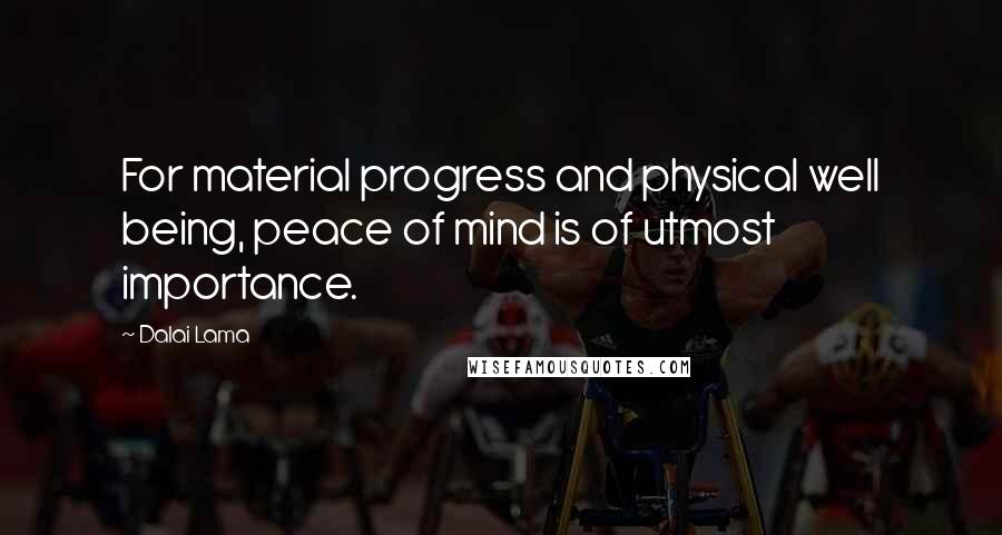 Dalai Lama Quotes: For material progress and physical well being, peace of mind is of utmost importance.