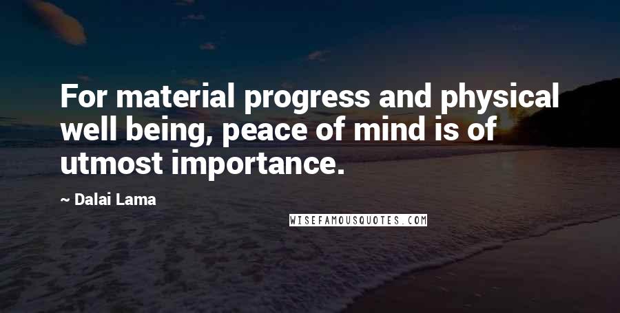 Dalai Lama Quotes: For material progress and physical well being, peace of mind is of utmost importance.