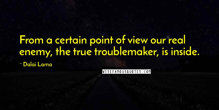 Dalai Lama Quotes: From a certain point of view our real enemy, the true troublemaker, is inside.