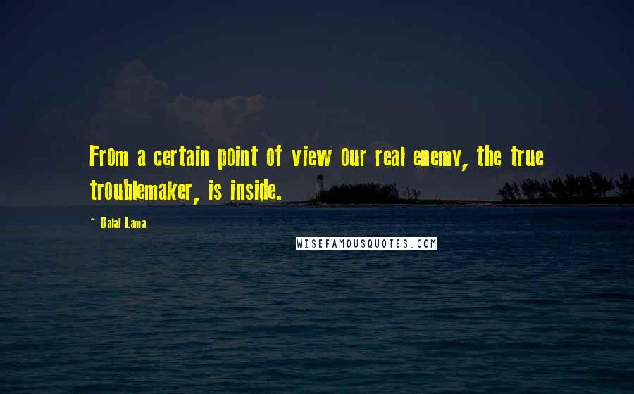 Dalai Lama Quotes: From a certain point of view our real enemy, the true troublemaker, is inside.