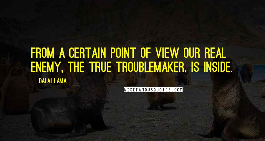 Dalai Lama Quotes: From a certain point of view our real enemy, the true troublemaker, is inside.