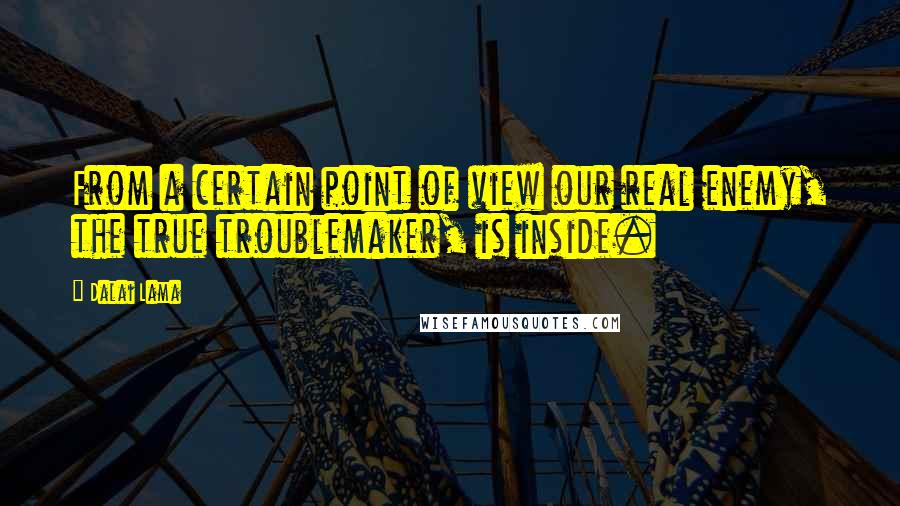 Dalai Lama Quotes: From a certain point of view our real enemy, the true troublemaker, is inside.
