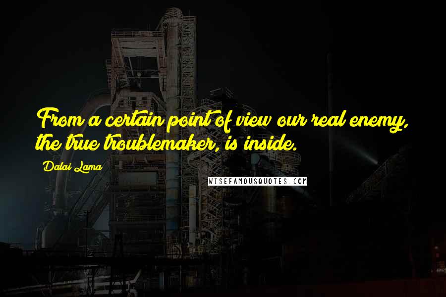 Dalai Lama Quotes: From a certain point of view our real enemy, the true troublemaker, is inside.