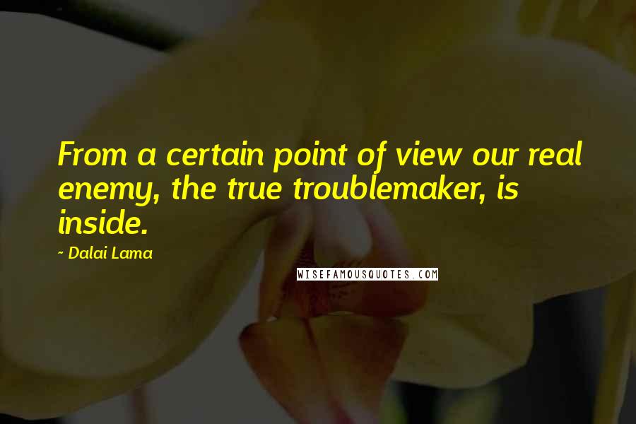 Dalai Lama Quotes: From a certain point of view our real enemy, the true troublemaker, is inside.