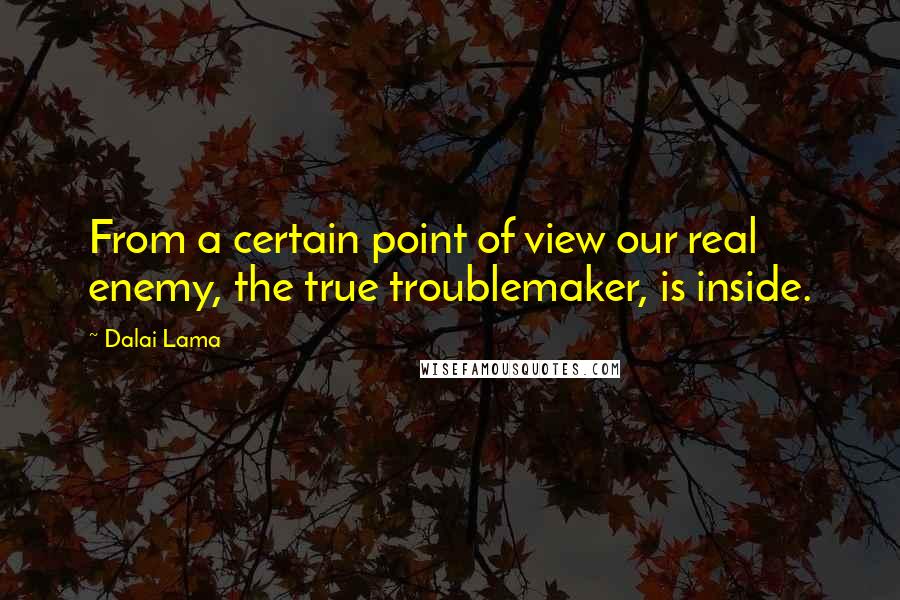Dalai Lama Quotes: From a certain point of view our real enemy, the true troublemaker, is inside.