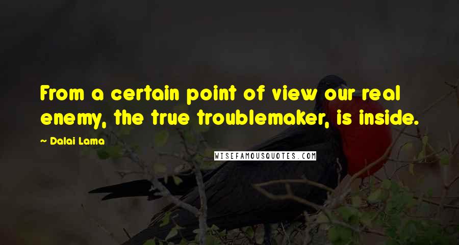 Dalai Lama Quotes: From a certain point of view our real enemy, the true troublemaker, is inside.