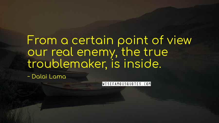 Dalai Lama Quotes: From a certain point of view our real enemy, the true troublemaker, is inside.