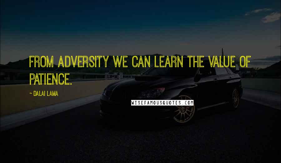 Dalai Lama Quotes: From adversity we can learn the value of patience.