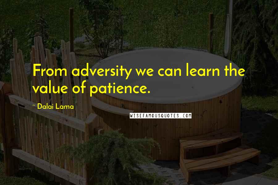 Dalai Lama Quotes: From adversity we can learn the value of patience.