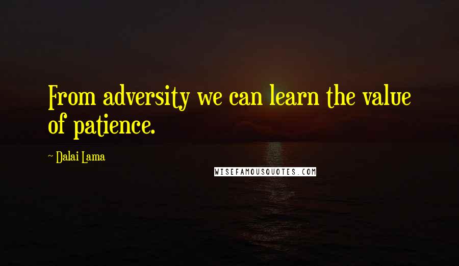 Dalai Lama Quotes: From adversity we can learn the value of patience.