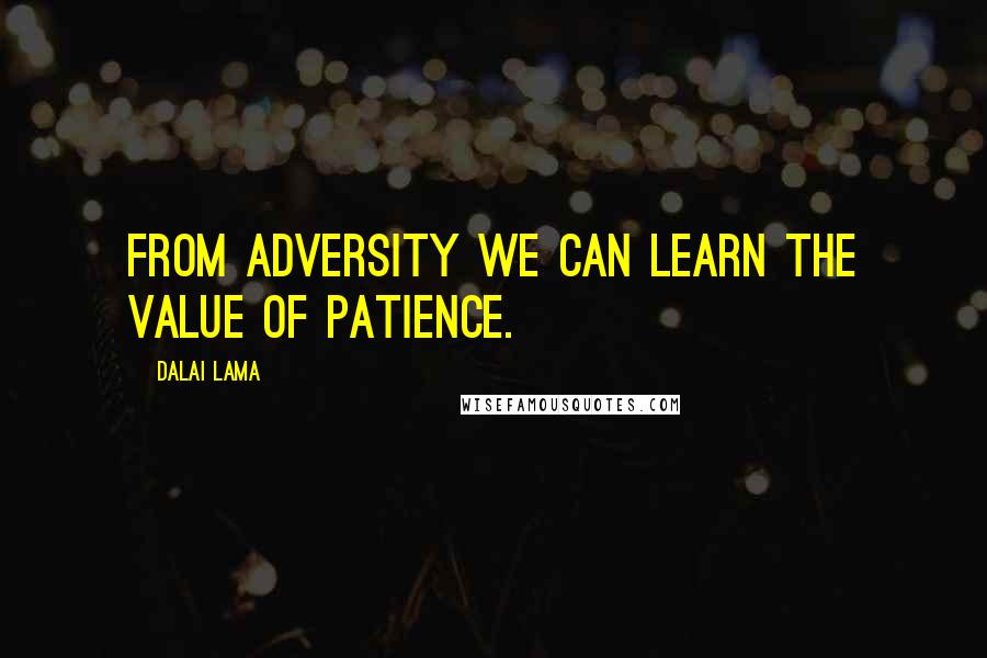 Dalai Lama Quotes: From adversity we can learn the value of patience.