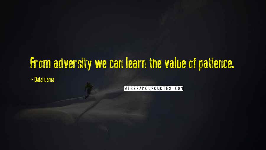 Dalai Lama Quotes: From adversity we can learn the value of patience.
