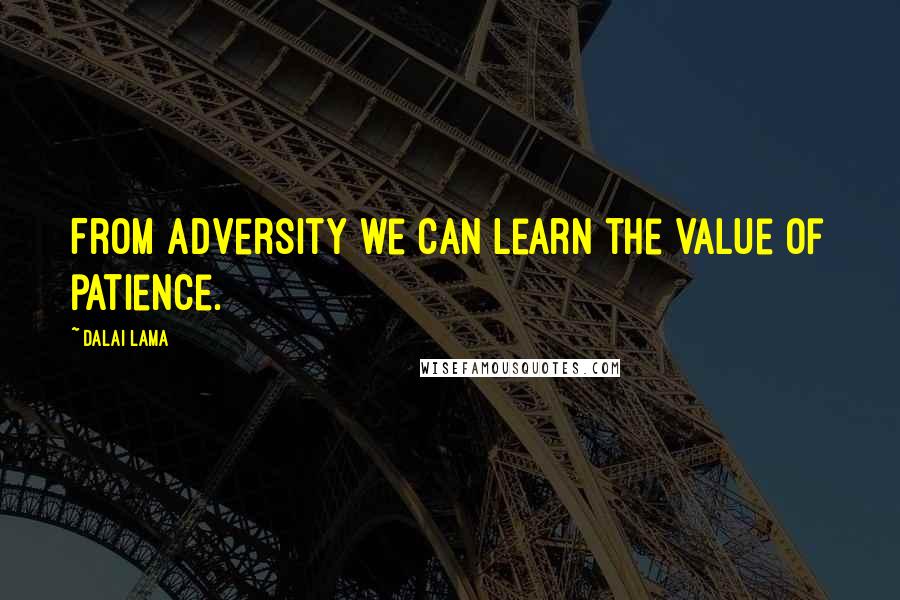 Dalai Lama Quotes: From adversity we can learn the value of patience.