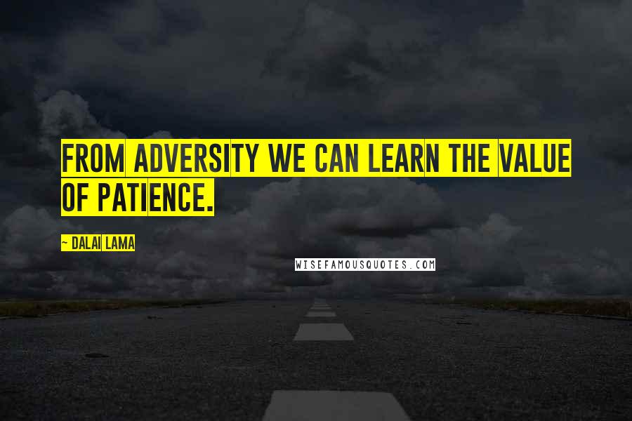 Dalai Lama Quotes: From adversity we can learn the value of patience.