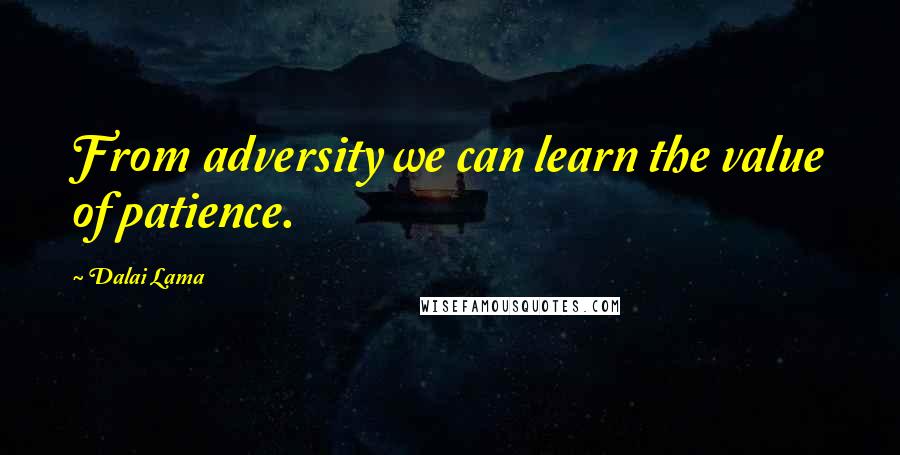 Dalai Lama Quotes: From adversity we can learn the value of patience.