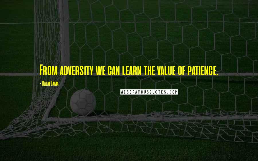 Dalai Lama Quotes: From adversity we can learn the value of patience.