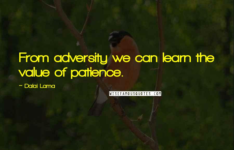 Dalai Lama Quotes: From adversity we can learn the value of patience.