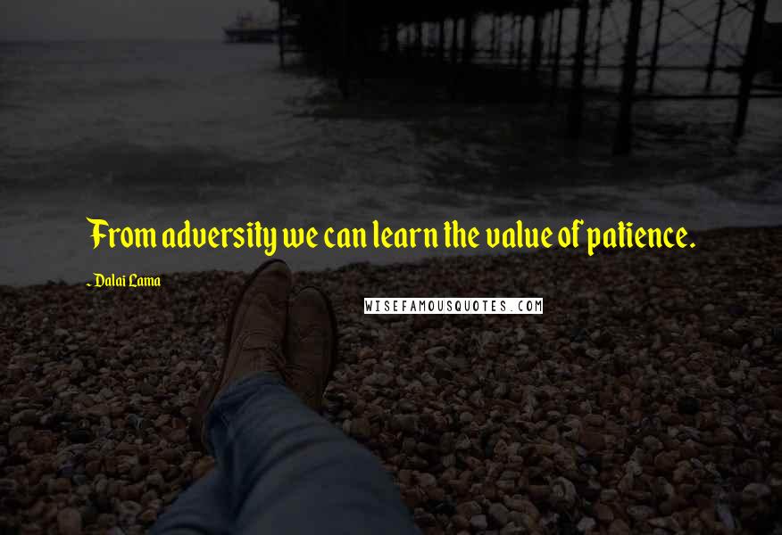 Dalai Lama Quotes: From adversity we can learn the value of patience.