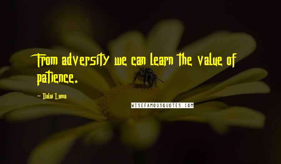 Dalai Lama Quotes: From adversity we can learn the value of patience.