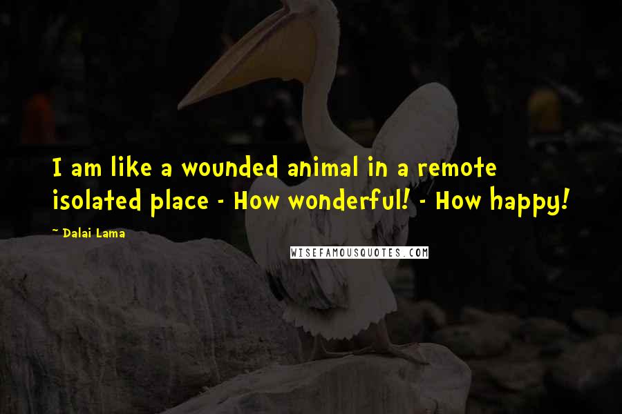 Dalai Lama Quotes: I am like a wounded animal in a remote isolated place - How wonderful! - How happy!