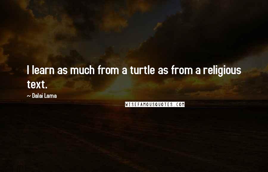 Dalai Lama Quotes: I learn as much from a turtle as from a religious text.