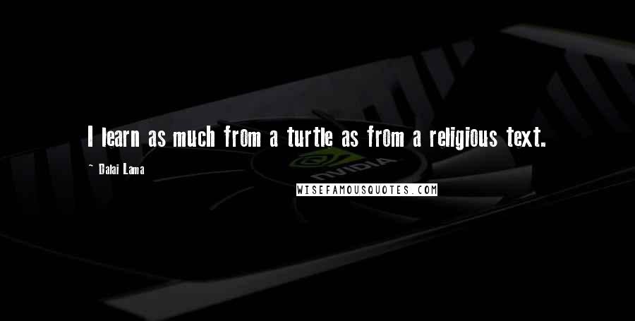 Dalai Lama Quotes: I learn as much from a turtle as from a religious text.