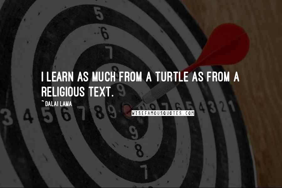 Dalai Lama Quotes: I learn as much from a turtle as from a religious text.