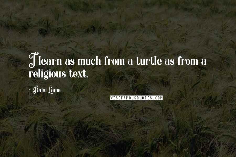 Dalai Lama Quotes: I learn as much from a turtle as from a religious text.