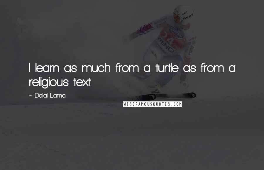 Dalai Lama Quotes: I learn as much from a turtle as from a religious text.