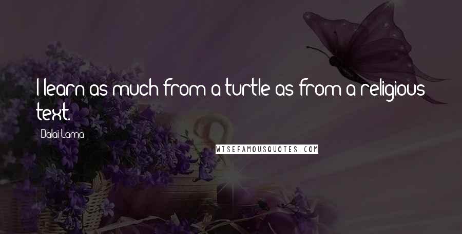 Dalai Lama Quotes: I learn as much from a turtle as from a religious text.