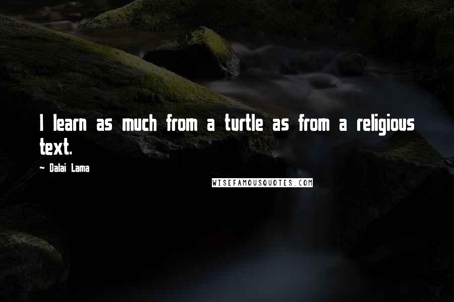 Dalai Lama Quotes: I learn as much from a turtle as from a religious text.