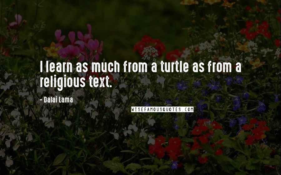 Dalai Lama Quotes: I learn as much from a turtle as from a religious text.