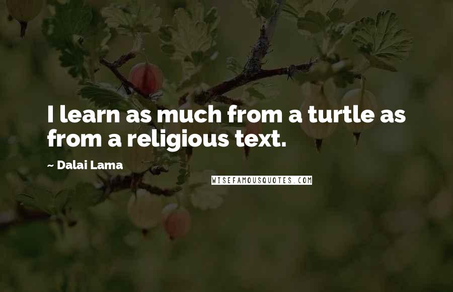 Dalai Lama Quotes: I learn as much from a turtle as from a religious text.