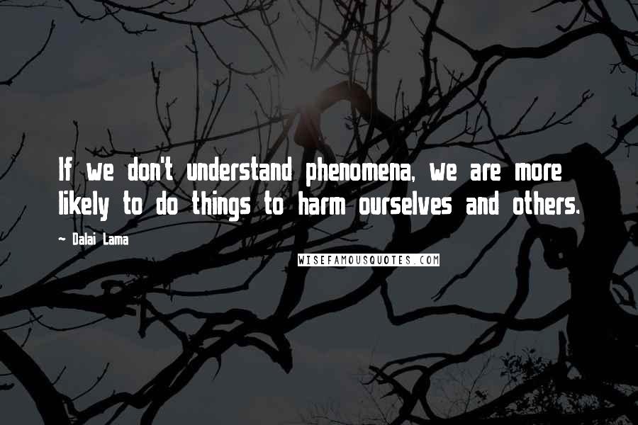 Dalai Lama Quotes: If we don't understand phenomena, we are more likely to do things to harm ourselves and others.