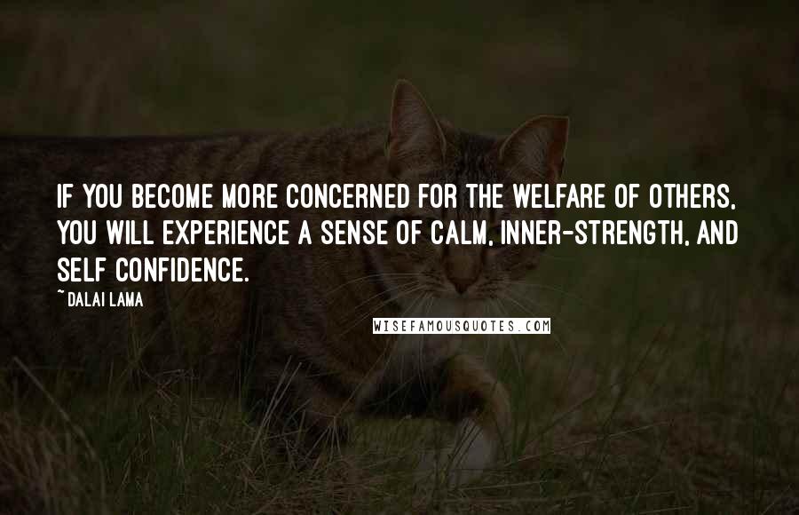 Dalai Lama Quotes: If you become more concerned for the welfare of others, you will experience a sense of calm, inner-strength, and self confidence.