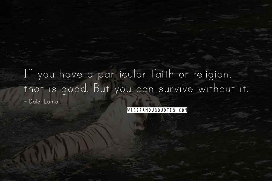 Dalai Lama Quotes: If you have a particular faith or religion, that is good. But you can survive without it.