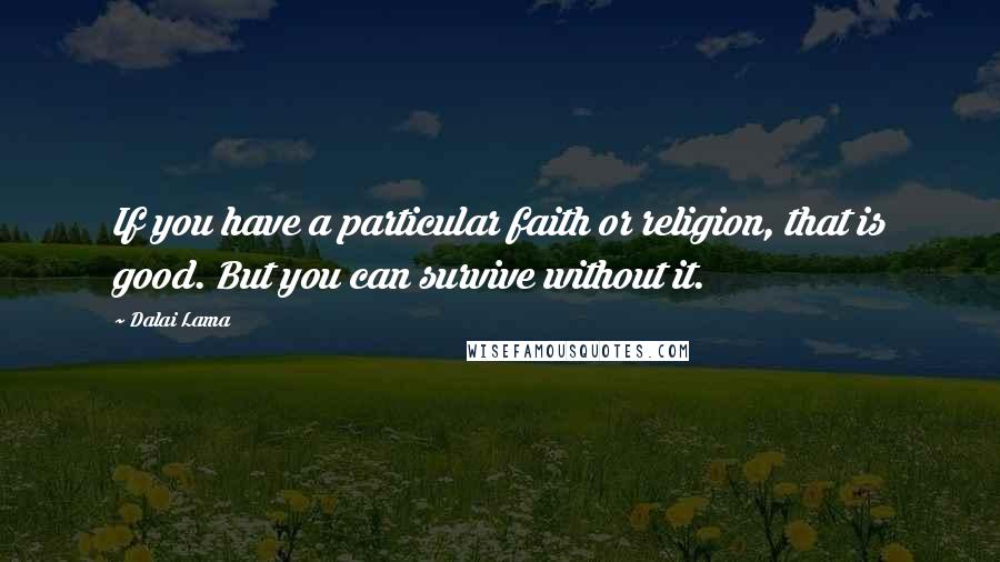 Dalai Lama Quotes: If you have a particular faith or religion, that is good. But you can survive without it.