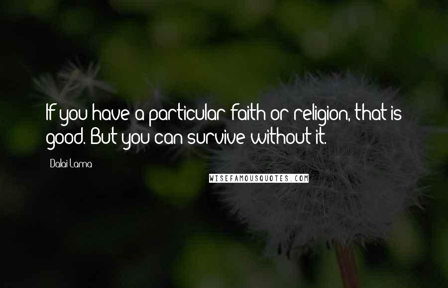 Dalai Lama Quotes: If you have a particular faith or religion, that is good. But you can survive without it.