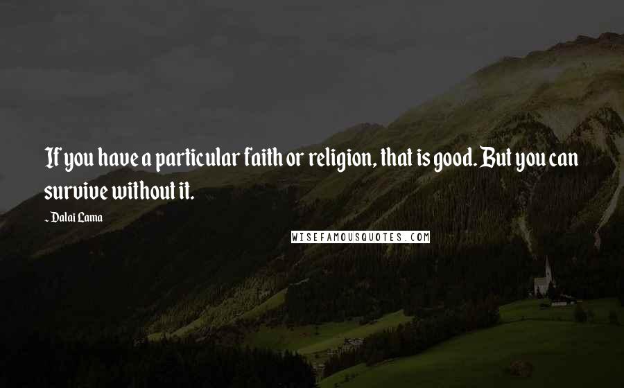 Dalai Lama Quotes: If you have a particular faith or religion, that is good. But you can survive without it.