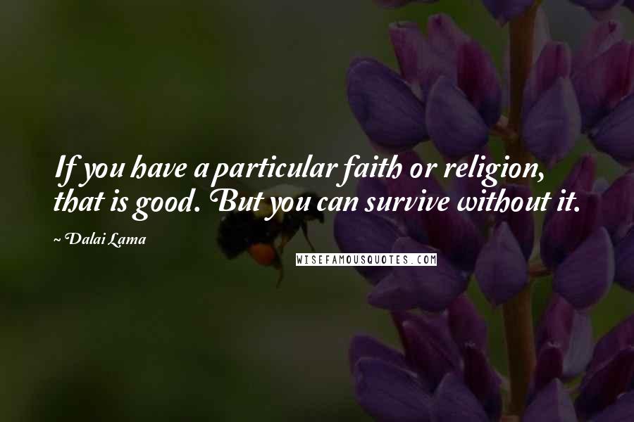 Dalai Lama Quotes: If you have a particular faith or religion, that is good. But you can survive without it.