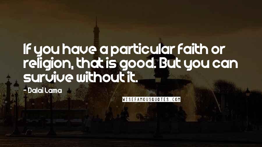 Dalai Lama Quotes: If you have a particular faith or religion, that is good. But you can survive without it.