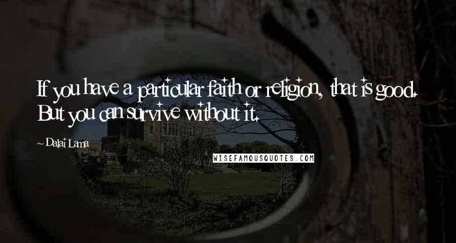 Dalai Lama Quotes: If you have a particular faith or religion, that is good. But you can survive without it.