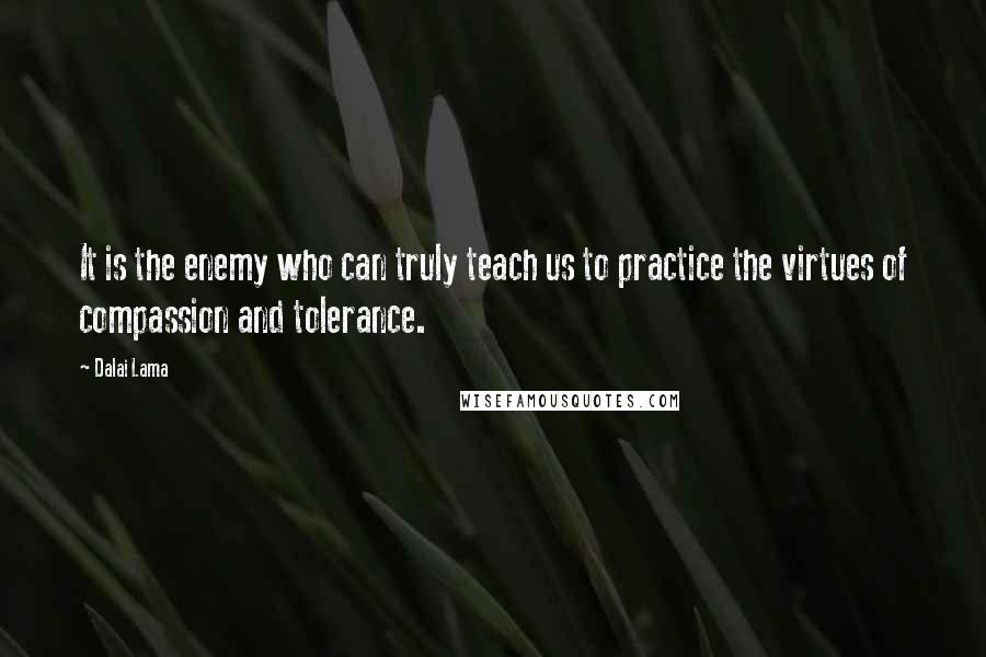 Dalai Lama Quotes: It is the enemy who can truly teach us to practice the virtues of compassion and tolerance.