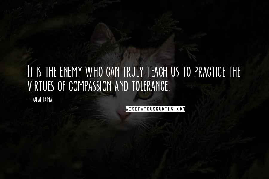 Dalai Lama Quotes: It is the enemy who can truly teach us to practice the virtues of compassion and tolerance.