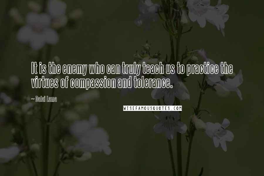 Dalai Lama Quotes: It is the enemy who can truly teach us to practice the virtues of compassion and tolerance.