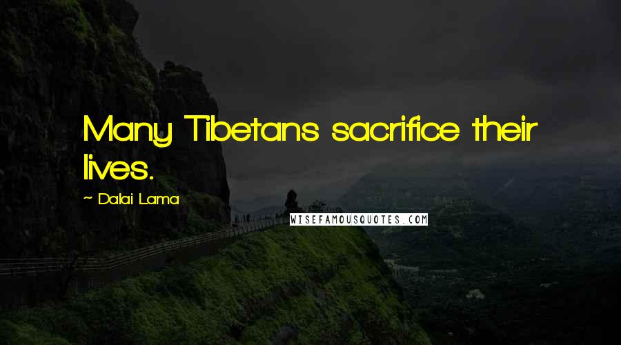 Dalai Lama Quotes: Many Tibetans sacrifice their lives.