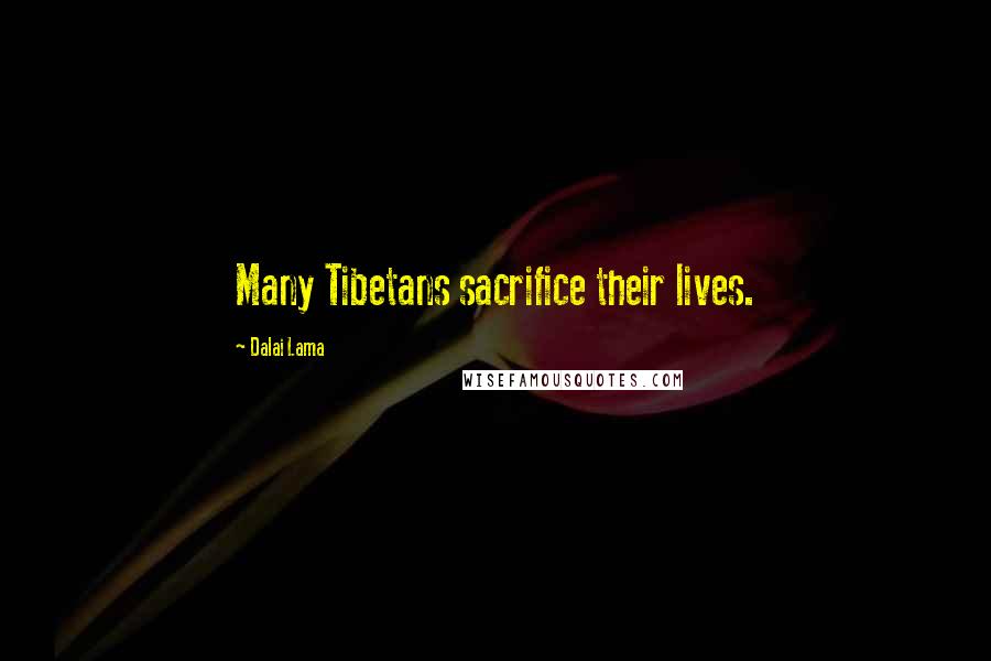Dalai Lama Quotes: Many Tibetans sacrifice their lives.