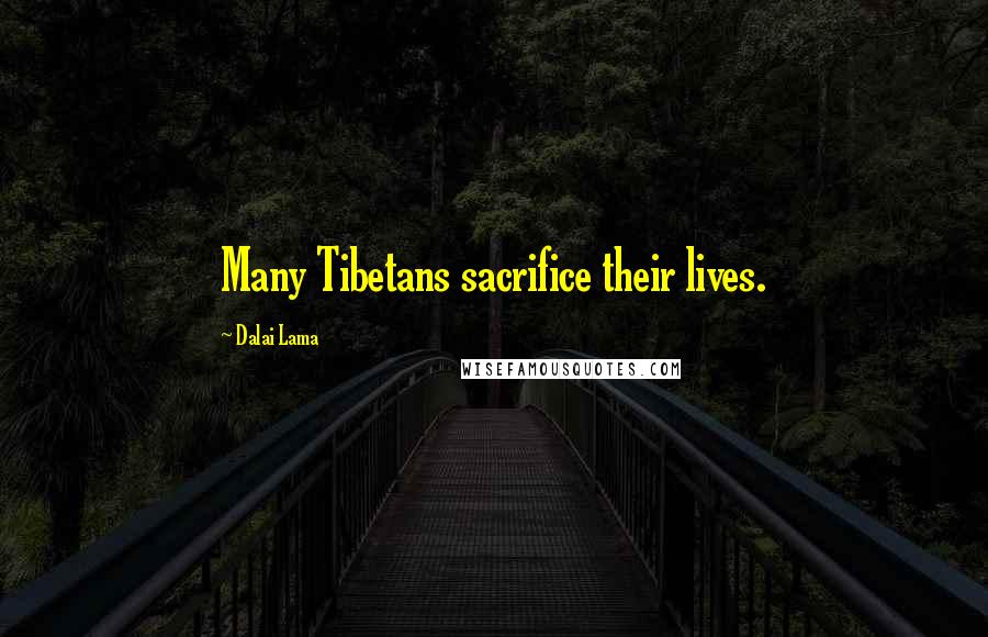 Dalai Lama Quotes: Many Tibetans sacrifice their lives.