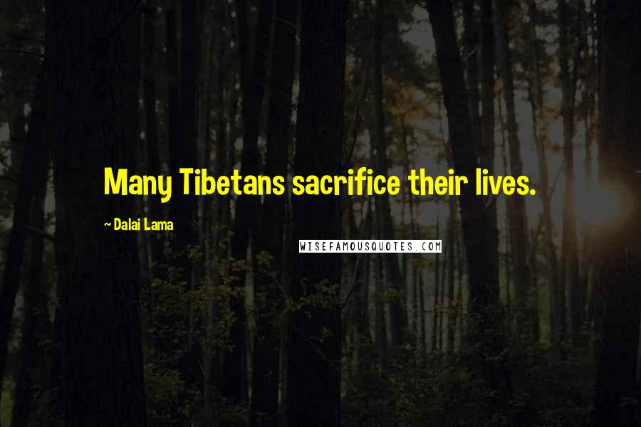 Dalai Lama Quotes: Many Tibetans sacrifice their lives.