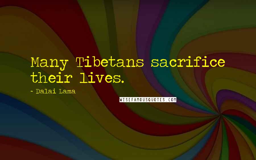 Dalai Lama Quotes: Many Tibetans sacrifice their lives.